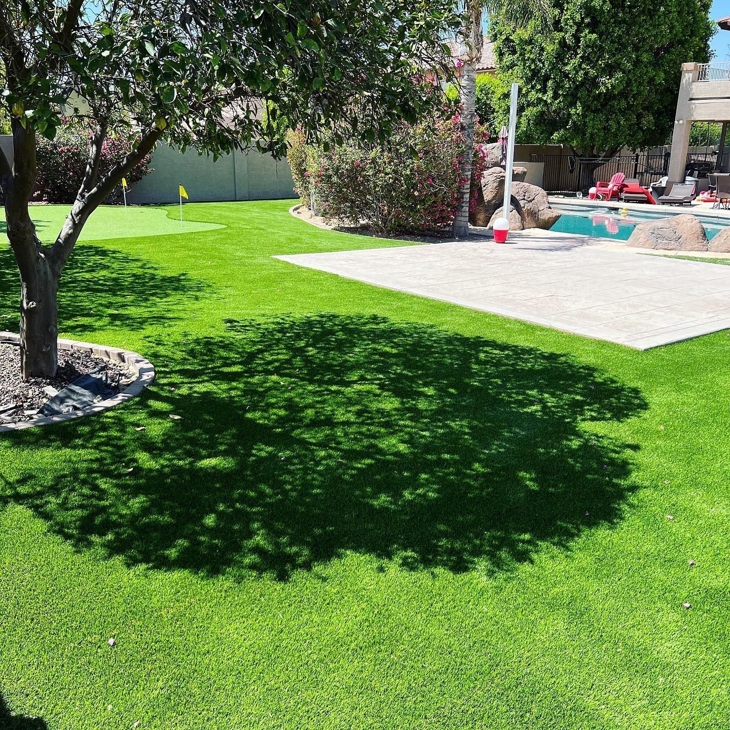 A lush green lawn with a tree in the middle and a pool in the background.