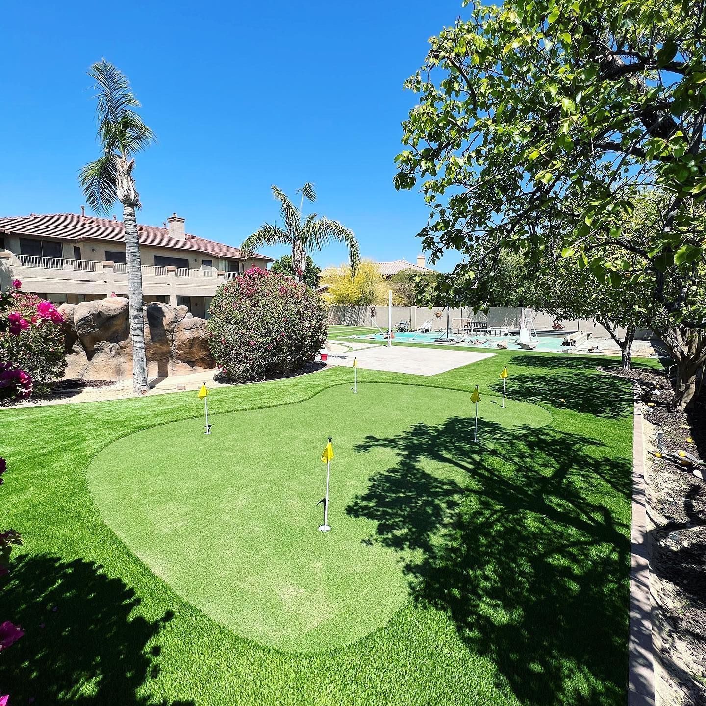 A putting green with the number 1 on it