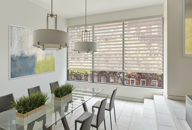 Hunter Douglas Designer Banded Shades
