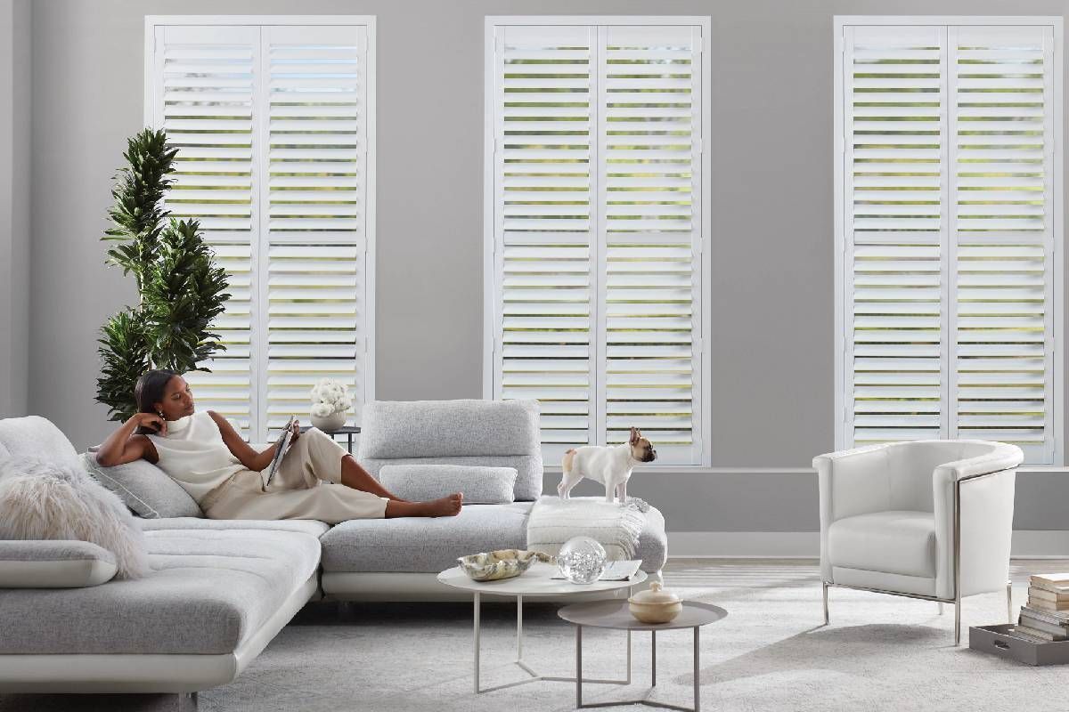 Living room with woman relaxing on sofa, dog, shutters. Neutral color scheme, bright interior.