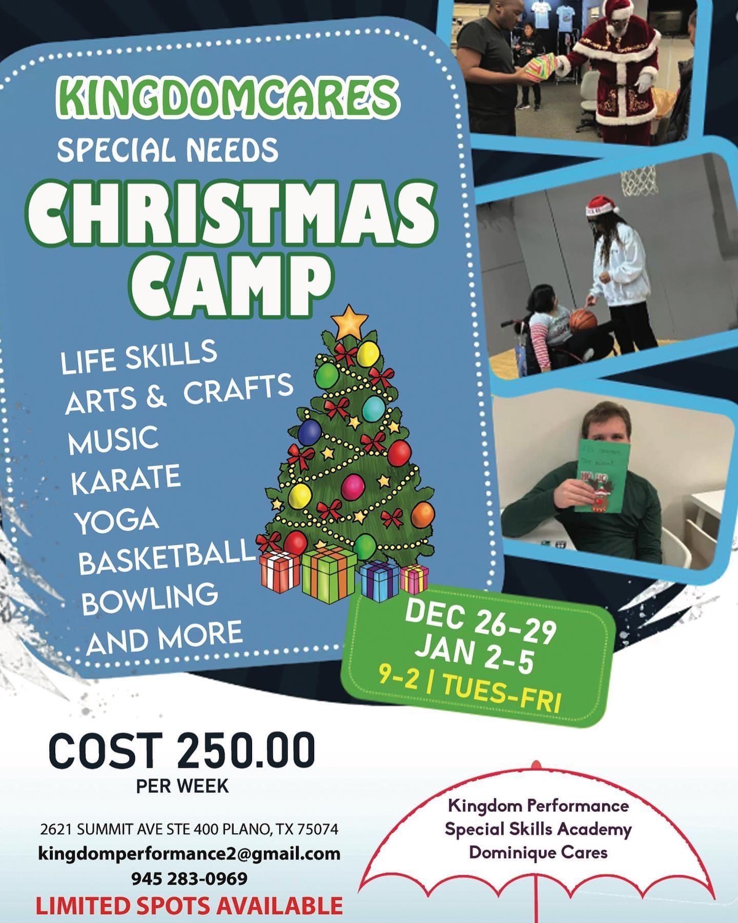 A flyer for a christmas camp for special needs