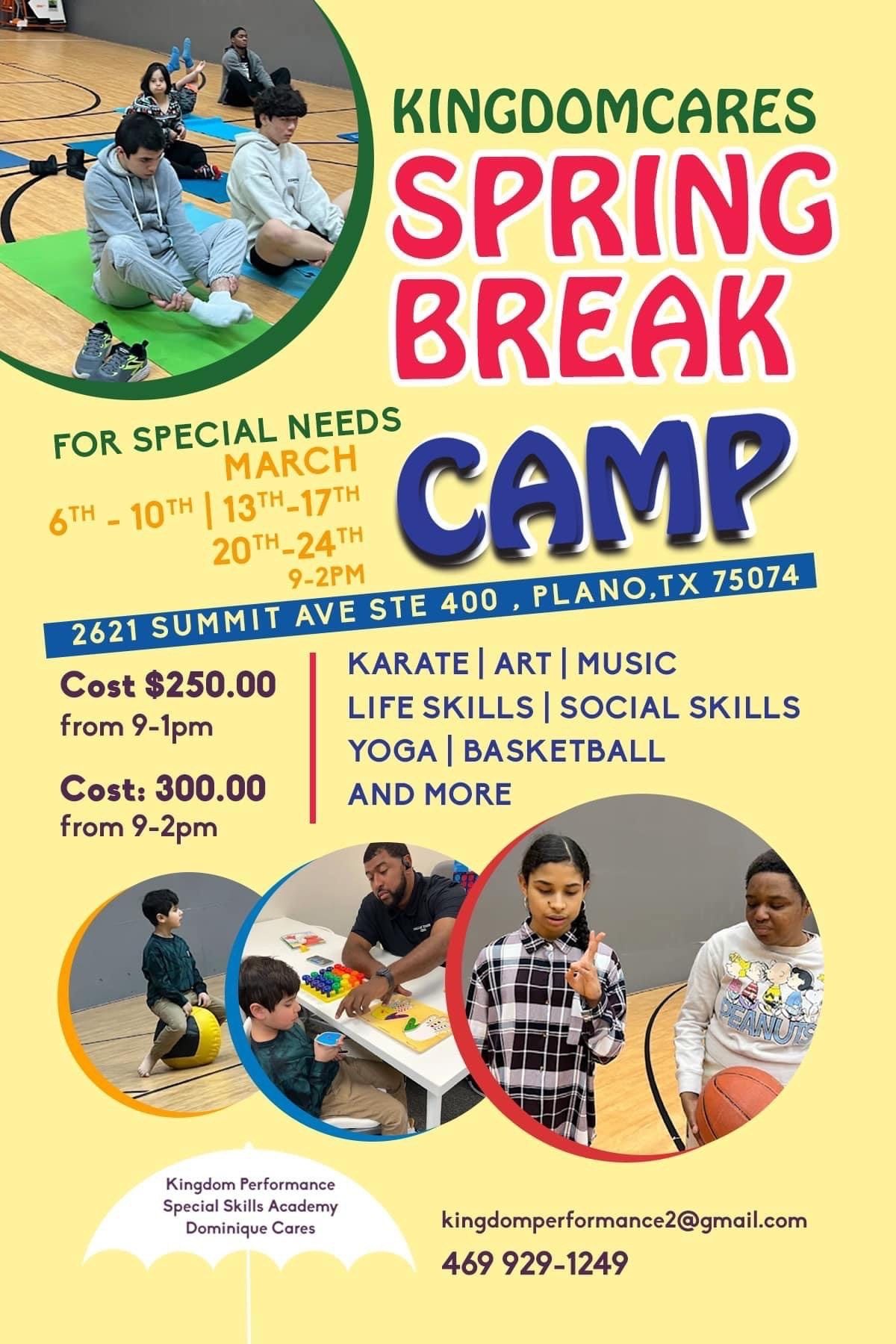 A flyer for a spring break camp for special needs.