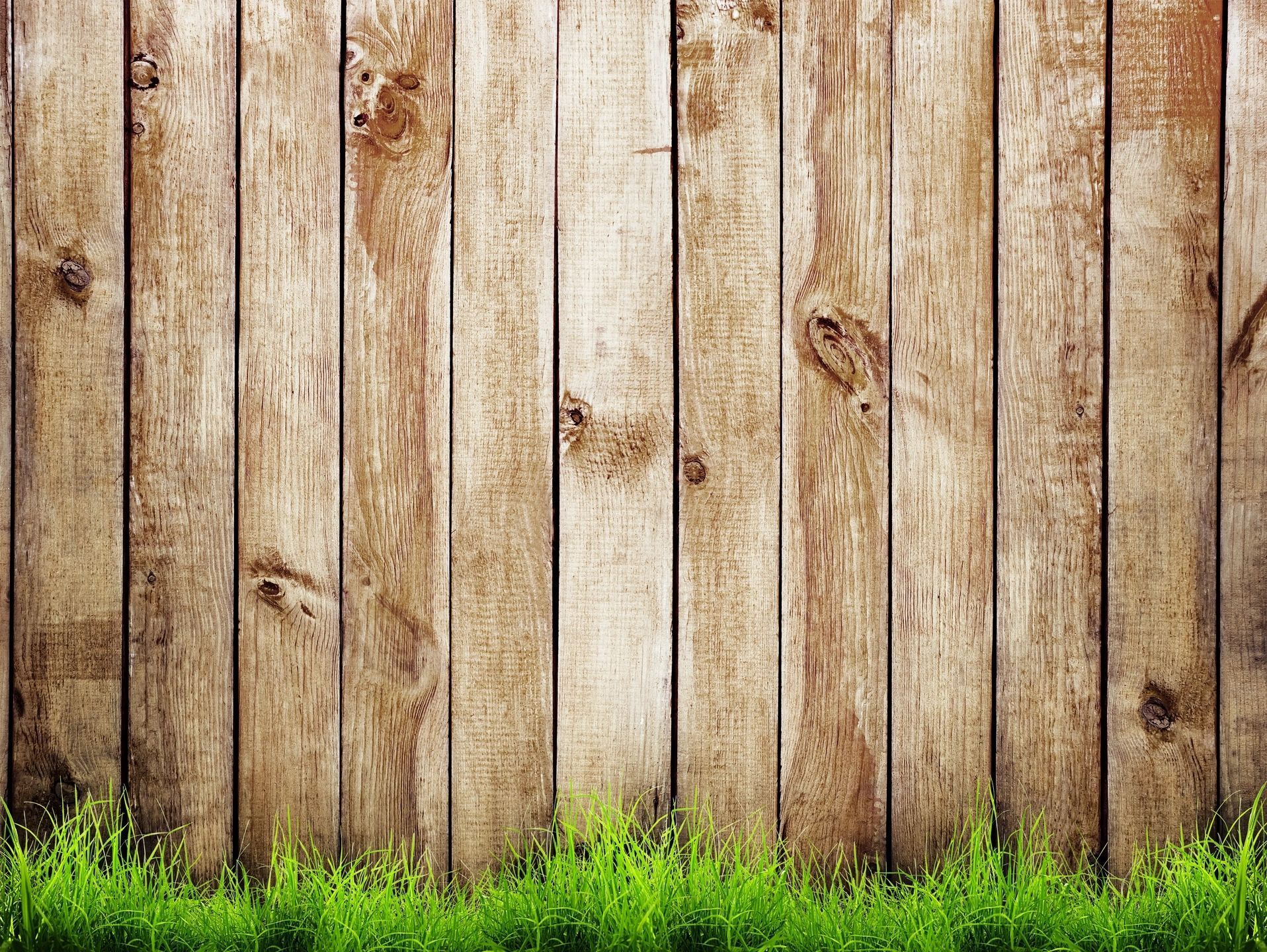 A wooden fence with green grass in front of it.