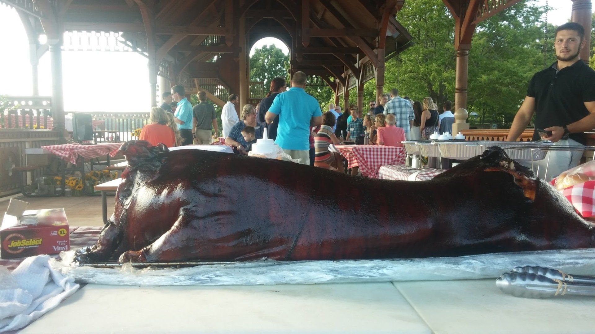 A large pig is laying on a table at a picnic.