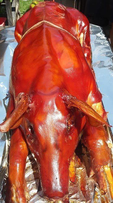 A roasted pig is sitting on a metal tray on a table.