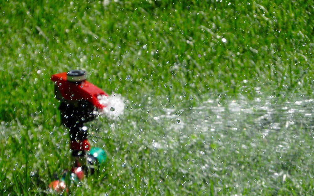 Frequent Watering Your Grass  | Lawn Preparation for Winter