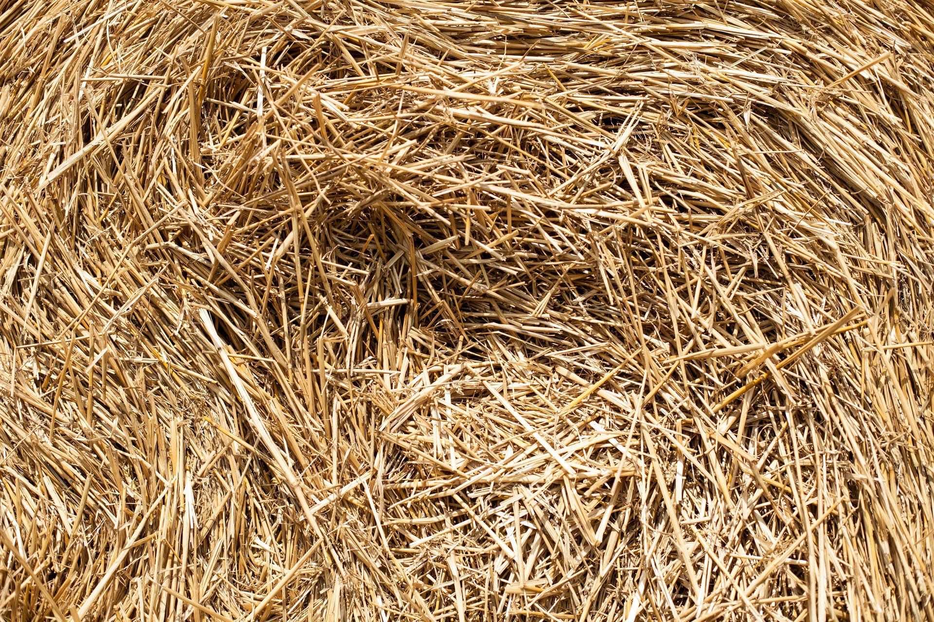 Laying Straws and Hay Bales for Lawn Preparation for Winter