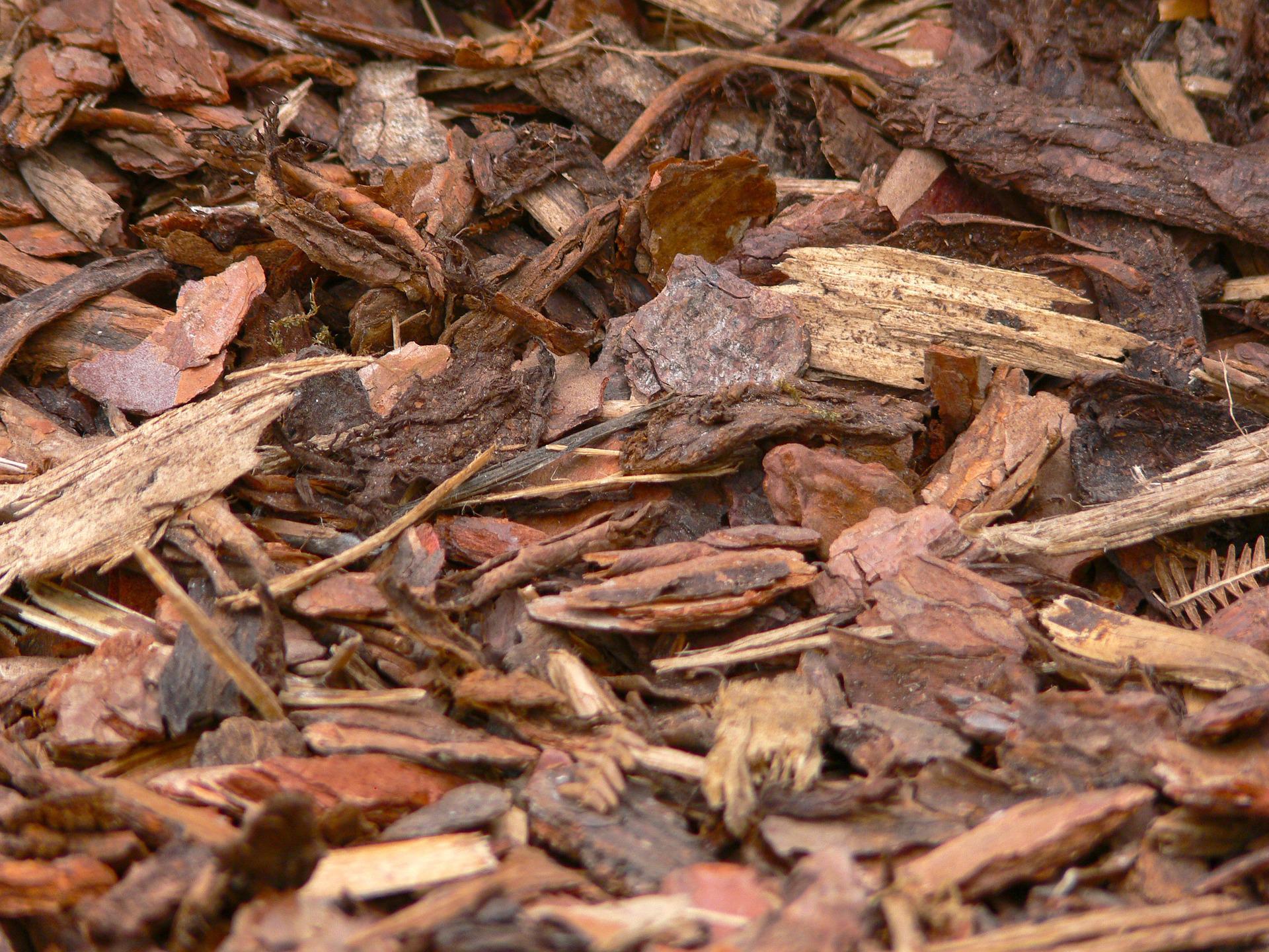 a pile of wood chips and leaves on the ground