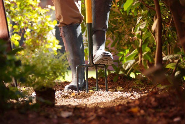 Digging Dirt with Digging Fork | Green Garden Landscaping
