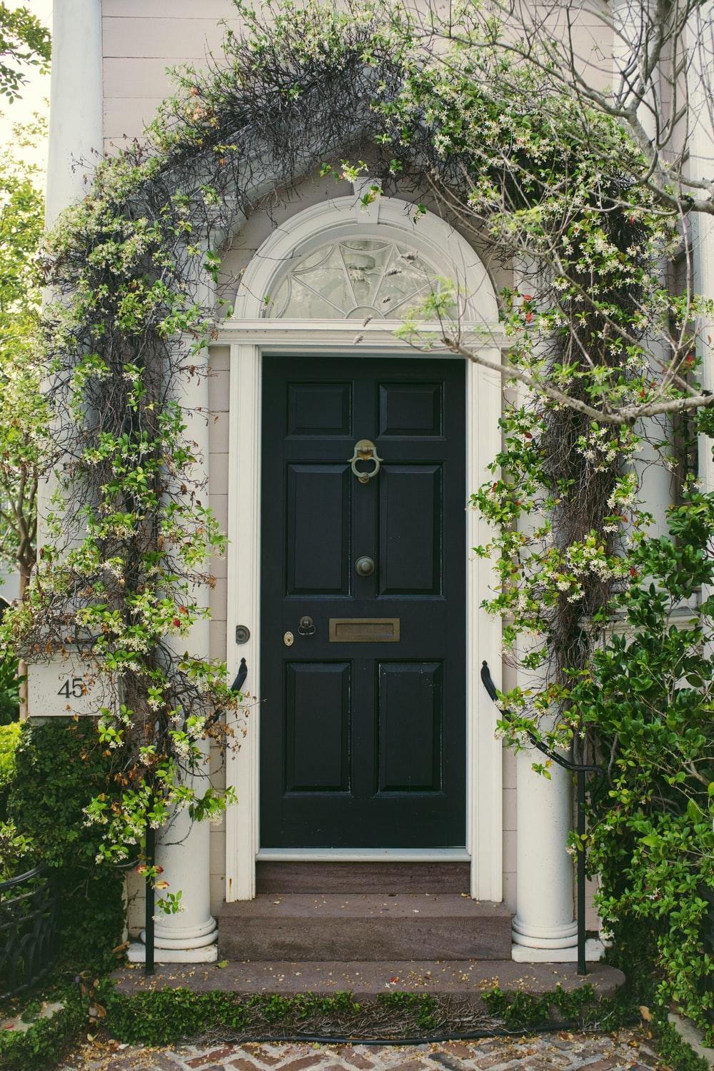 Beautiful Landscape on front door