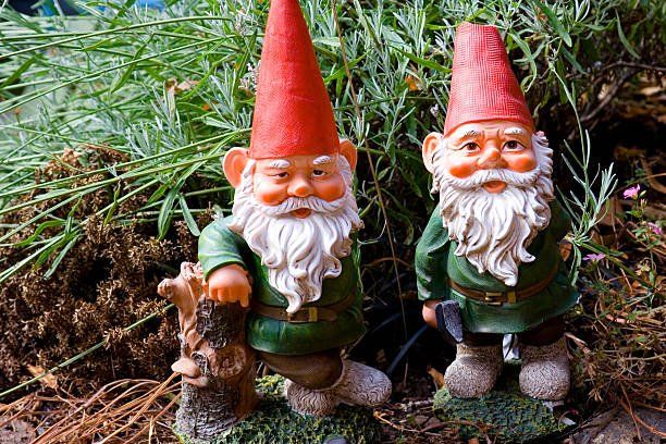 Gnome Decoration in the Lawn