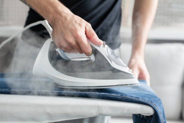 Steaming Clothes for Getting Rid Bed Bugs | Green Garden  Landscaping