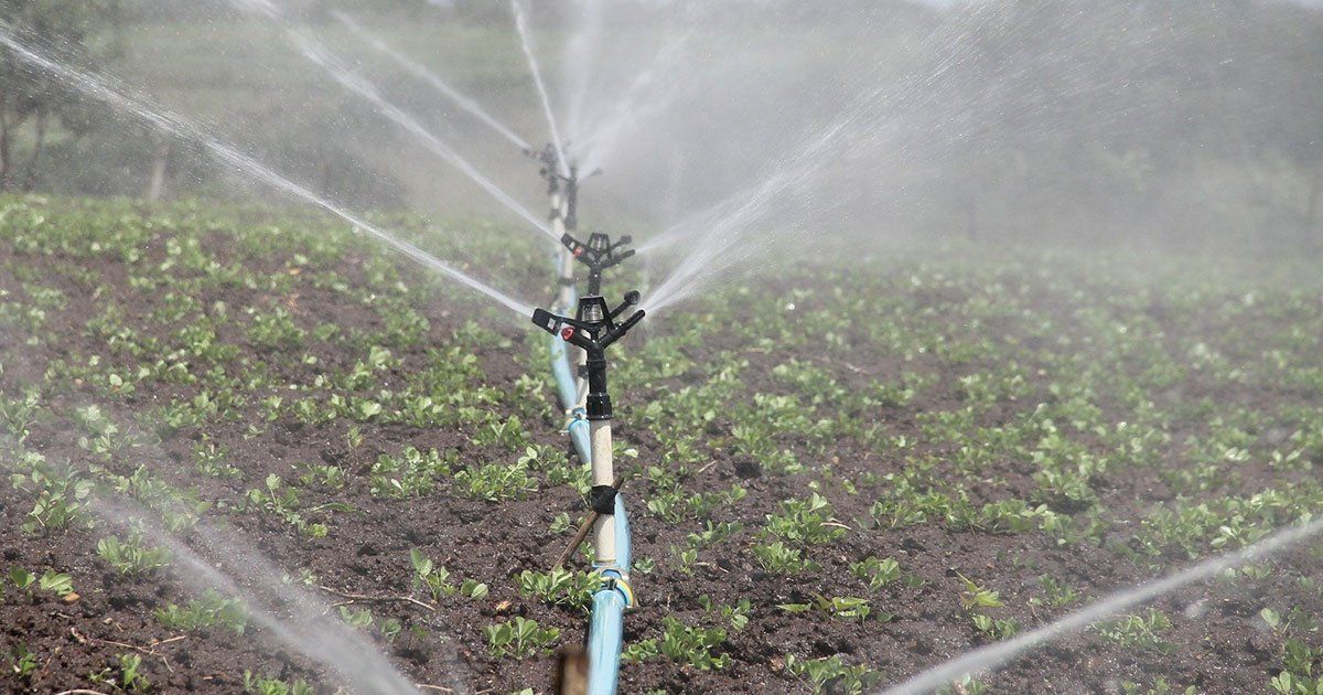 Irrigation System in a Lawn