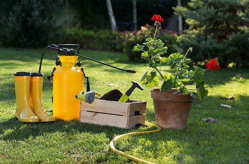 Lawn Care Packages Green Garden Landscaping lawn-care-packages-green-garden-landscaping