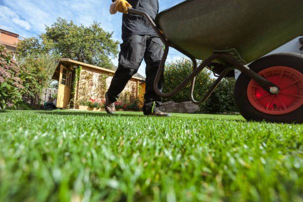 Gift for Dad's that Love to Work in the Lawn | Green Garden Landscaping