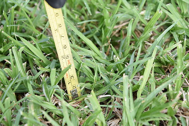 Measurement Meter Measuring the Lawn | Green Garden Landscaping