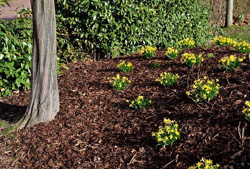 Mulch Installation View  | Green Garden Landscaping