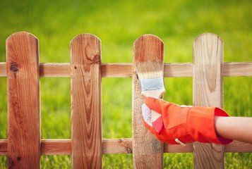 A Man Paint The Fence to Become Attractive