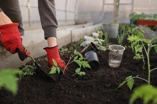 Preparing Soil for Plants and Flowers | Green Garden Landscaping