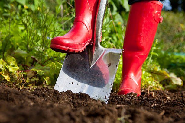 Shoving Dirt in Garden | Green Garden Landscaping