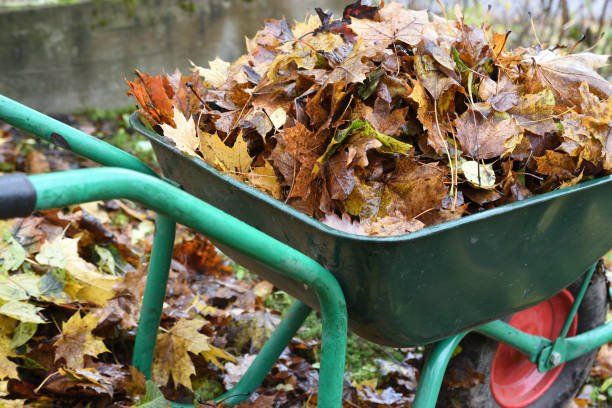 Dead Leaves Moved by  a Wheel Barrow | Green Garden Landscaping