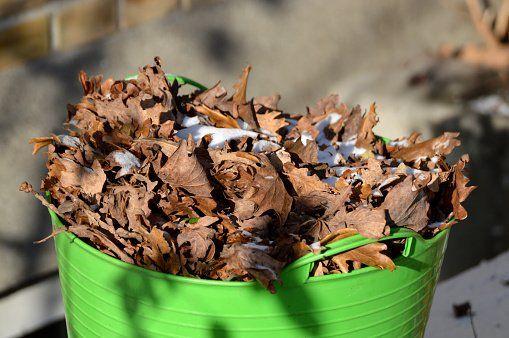 Removing Winter Debris | Green Garden Landscapinbg