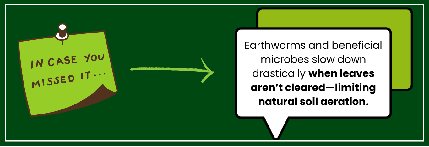 Soil health fact: Earthworms and microbes slow down when leaves aren’t cleared, reducing natural soil aeration.