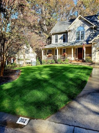 Photo of from lawn grass