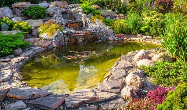 Garden and Lawn Design with Pond | Green Garden Landscaping
