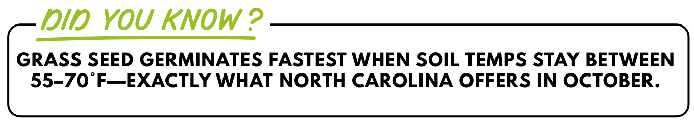 Text in a box: Grass seed germinates fastest when soil temps stay between 55-70 F - exactly what North Carolina offers in October.