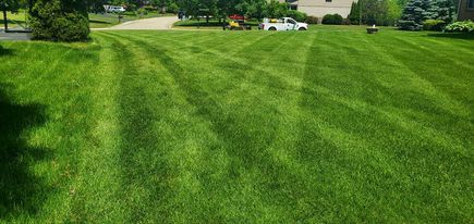 Photo of Green Lawn