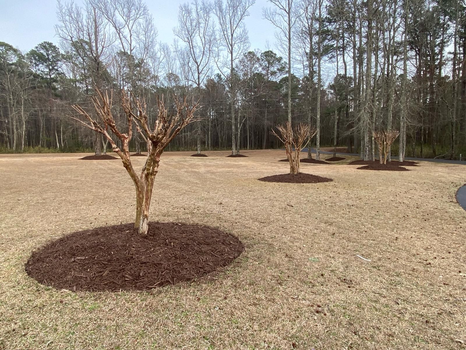 Sanford mulch installation