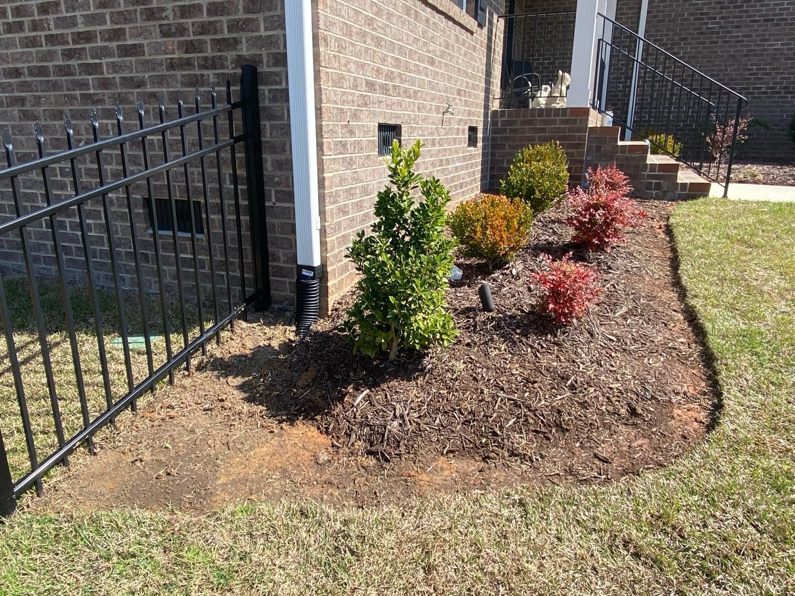 spring clean up