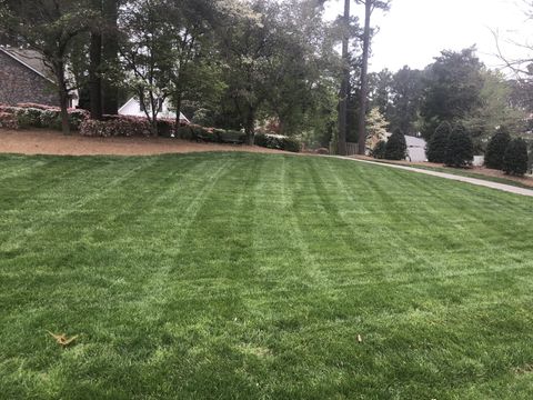 Yard Maintenace Lawn Care In Sanford Nc Green Garden Landscaping