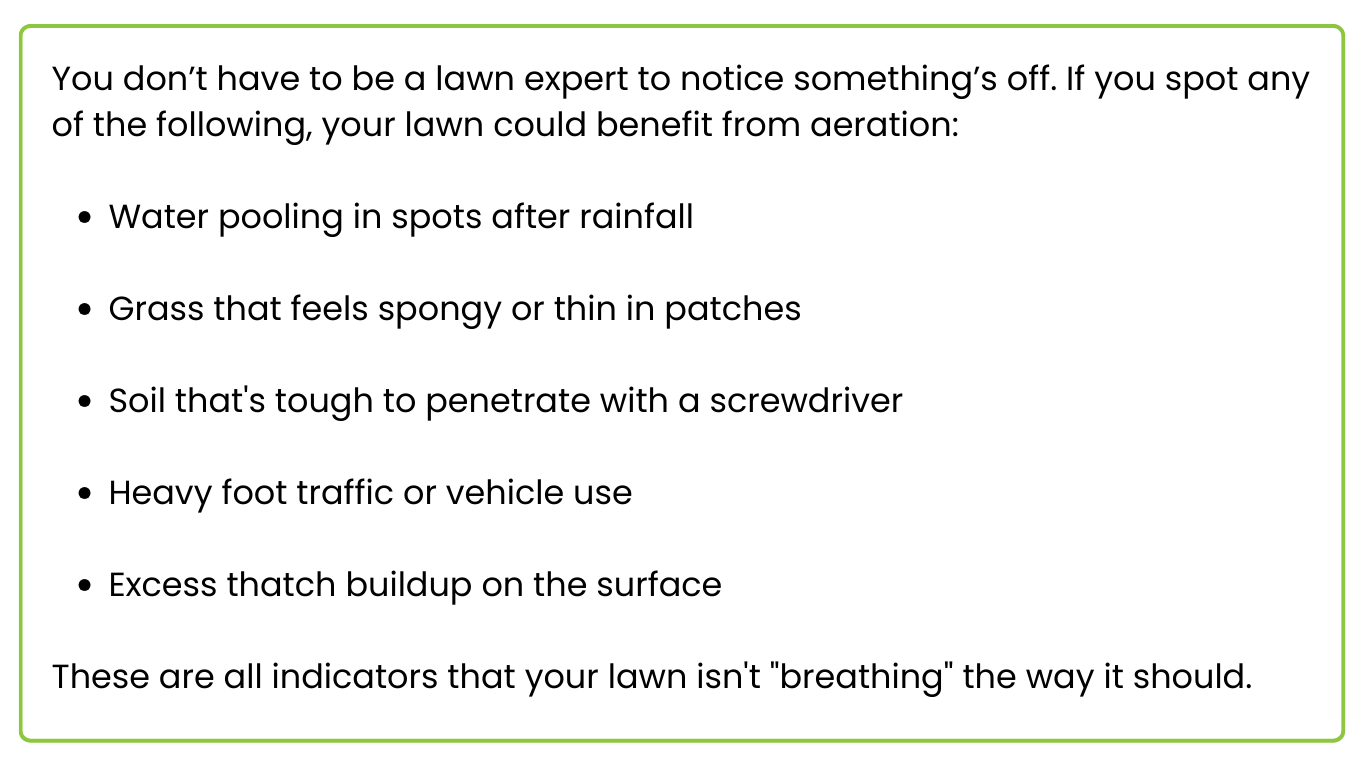 Text listing signs a lawn needs aeration, including water pooling, spongy grass, and soil tough to penetrate.
