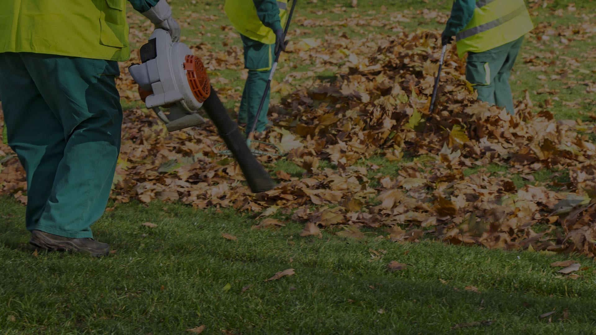 lawn fertilization service