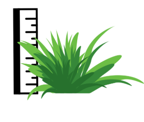 Grass and ruler icon showing proper lawn height