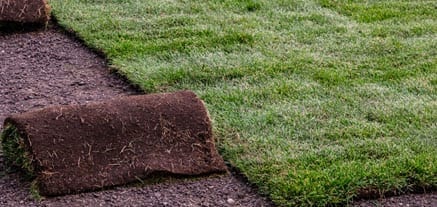 sod installation