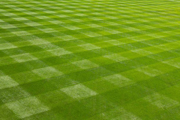 A lush green field of grass with a checkered pattern.