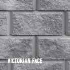 victorian face