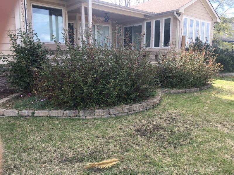 Mulch