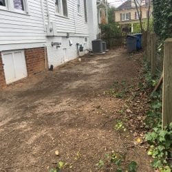 Photo of soil