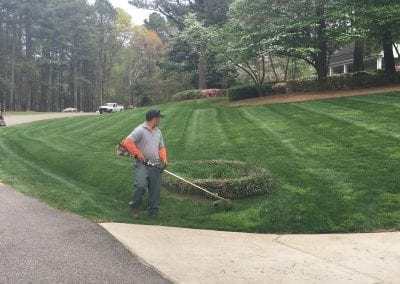 Lawn Mowing