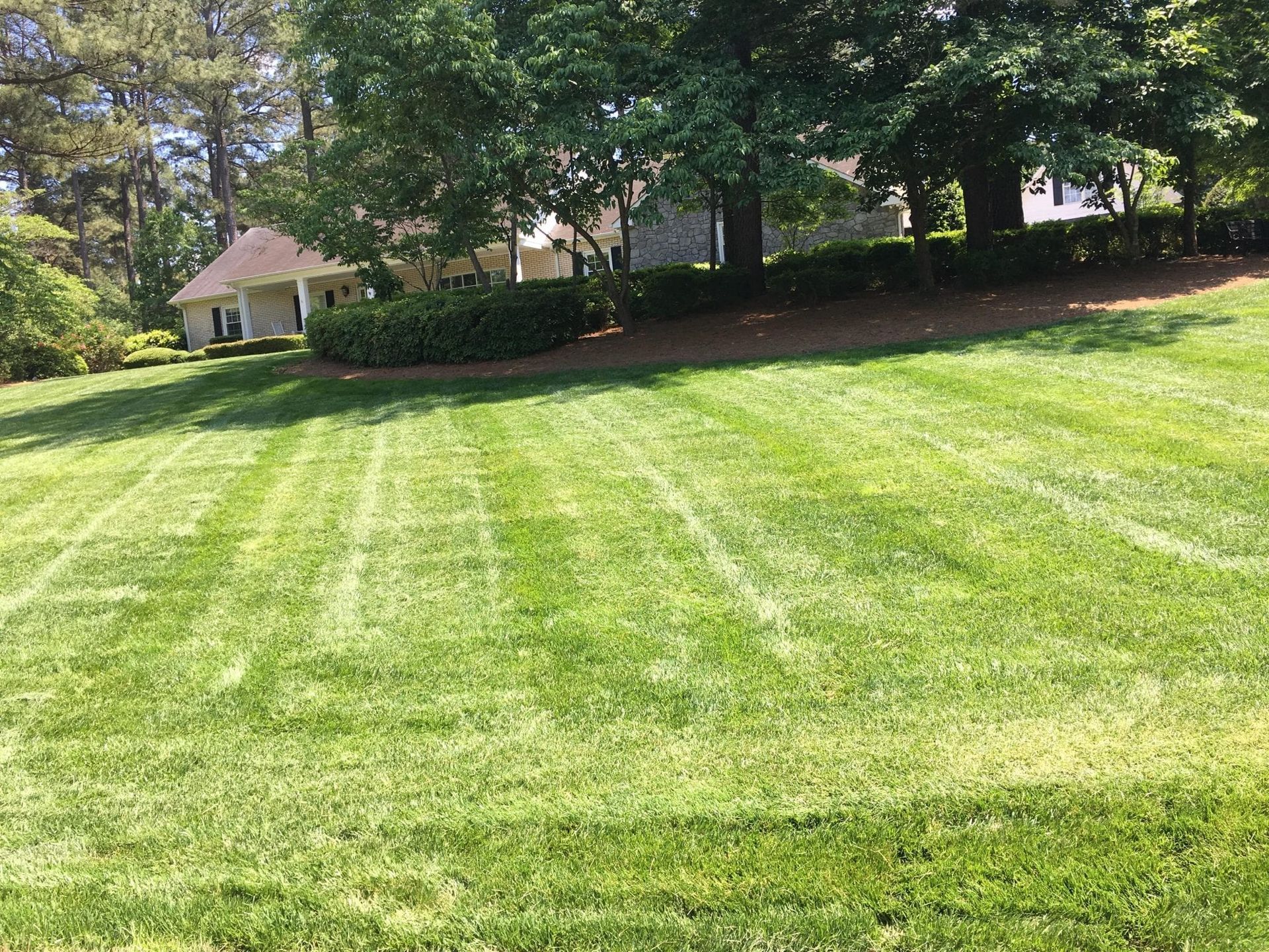 Lawn Mowing