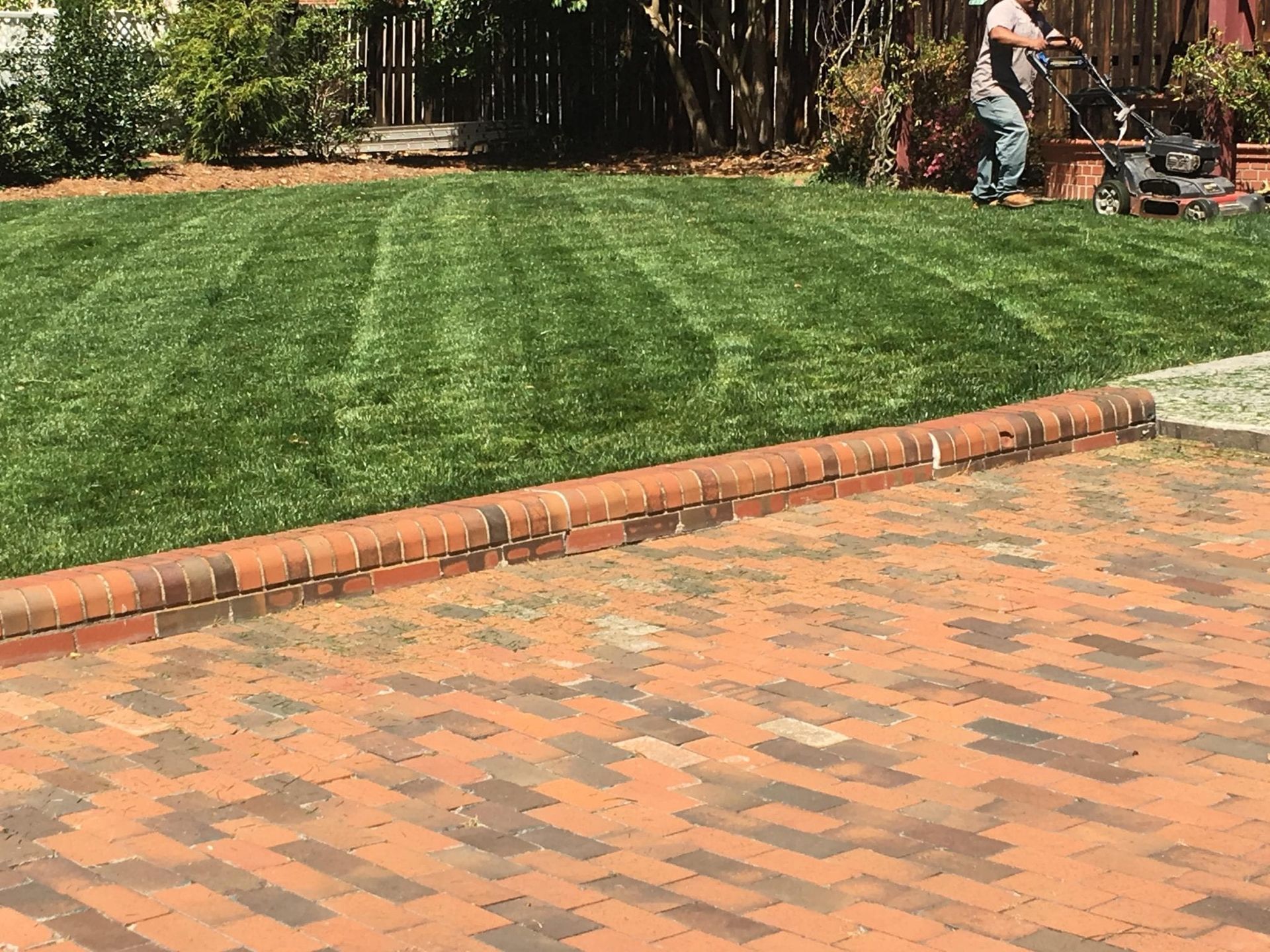 photo of grass