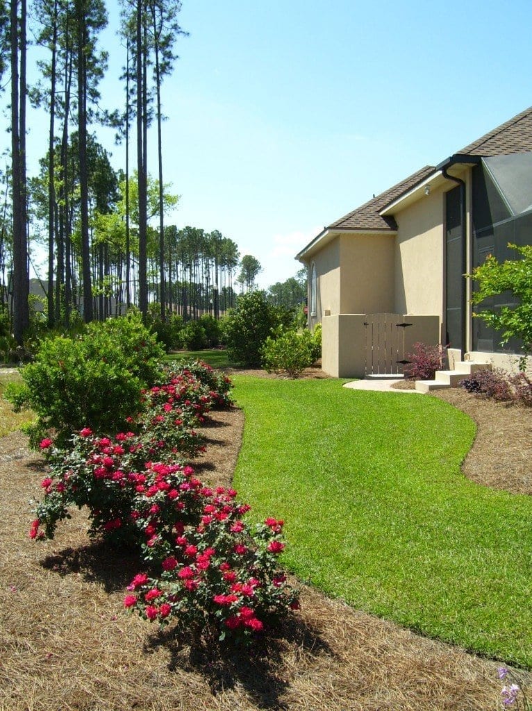 landscaping service