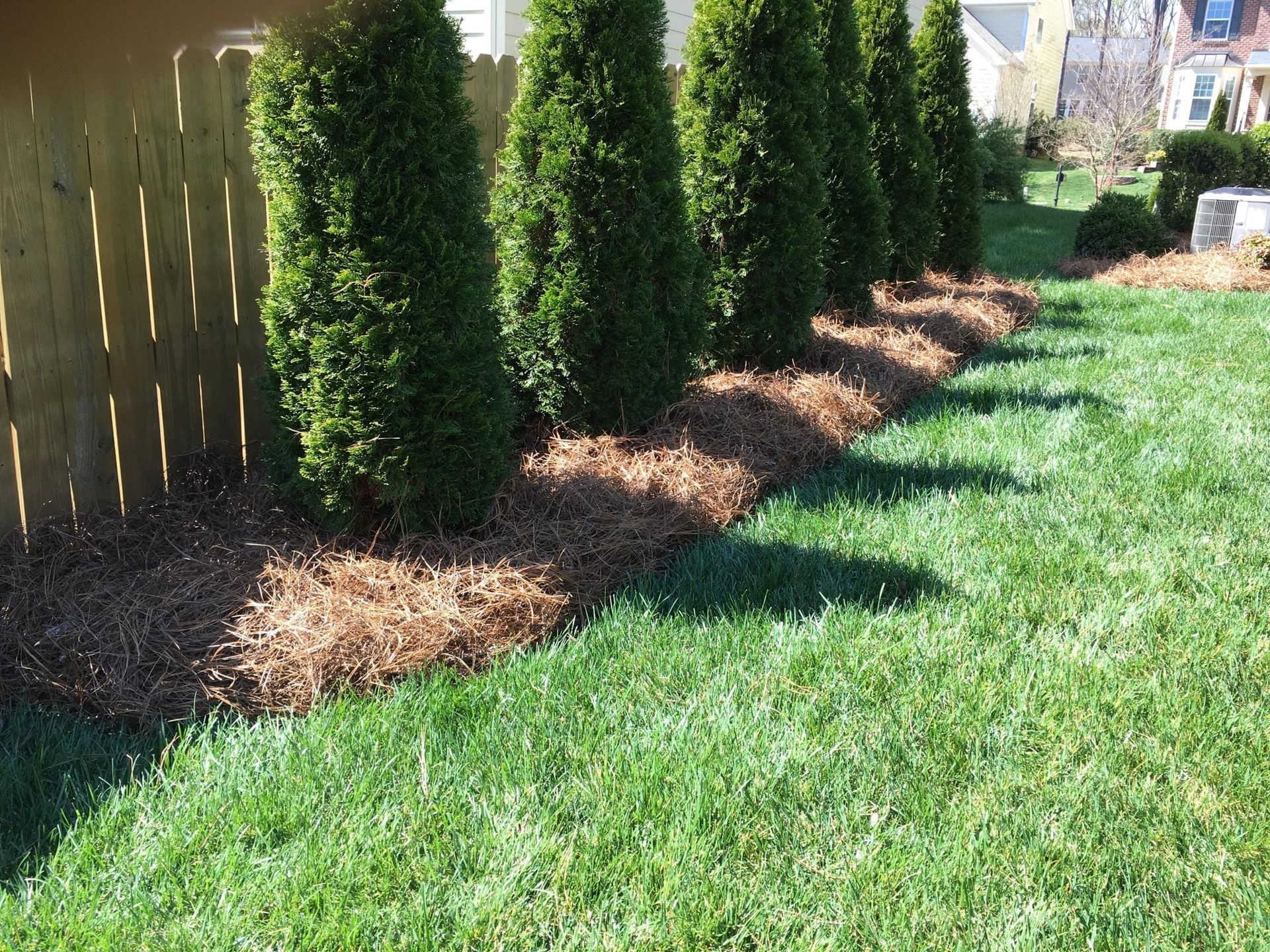 Pine Straw Installation