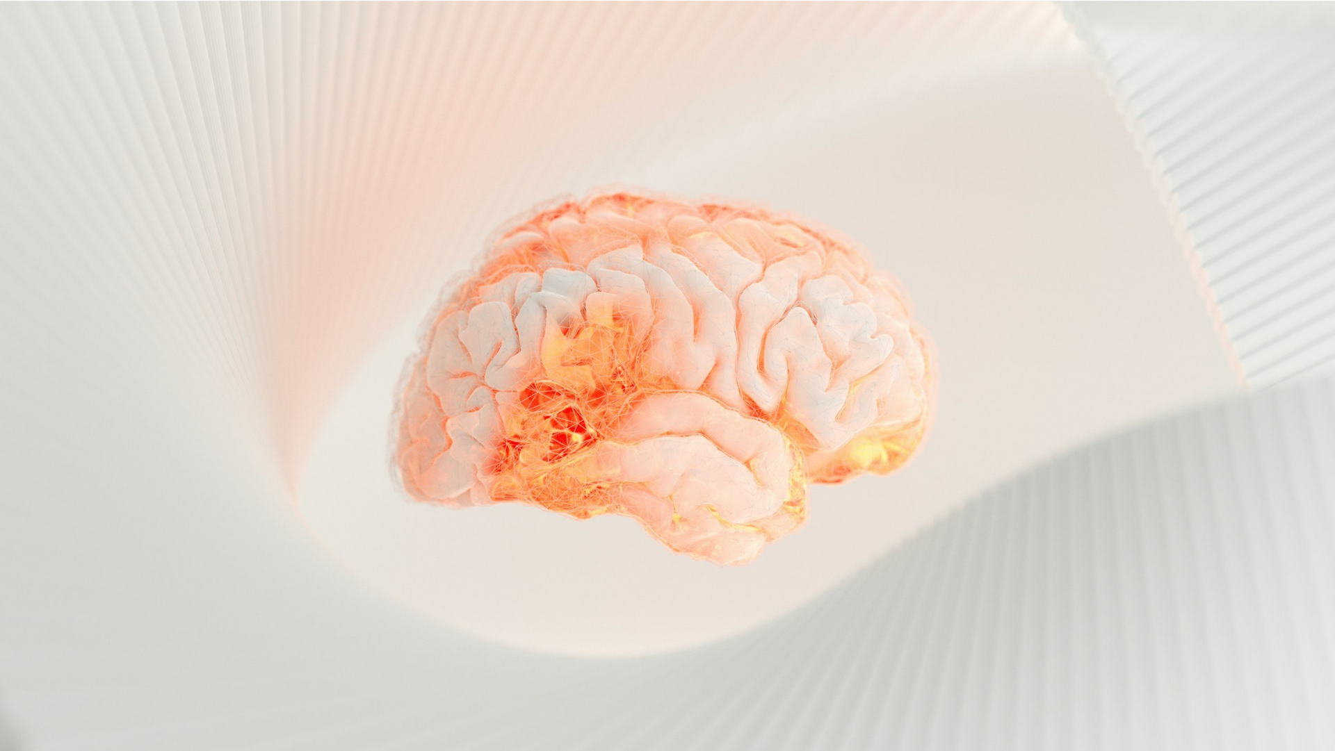 A close up of a brain on a white surface.