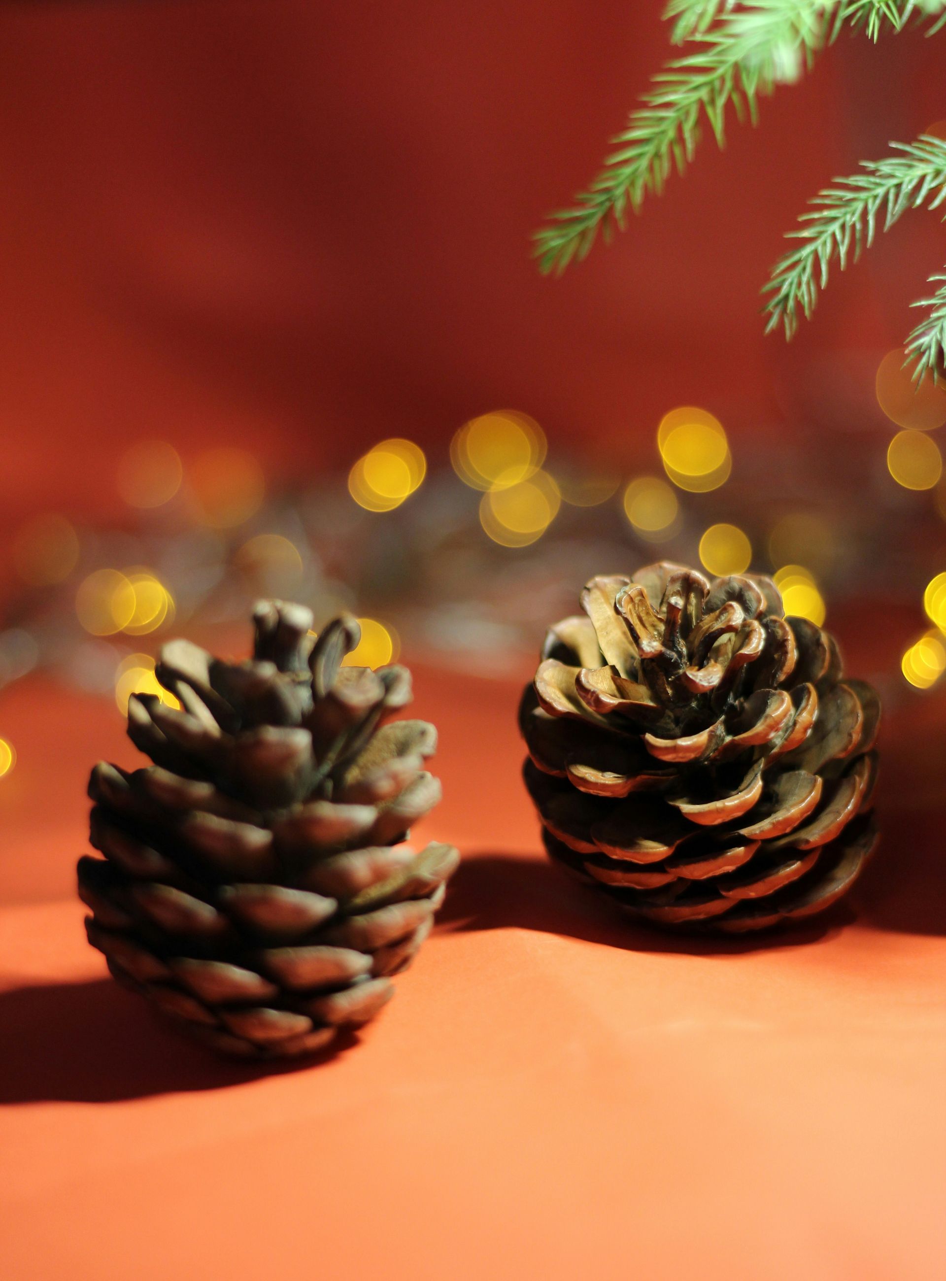 Two pine cones are sitting on a table in front of a christmas tree.