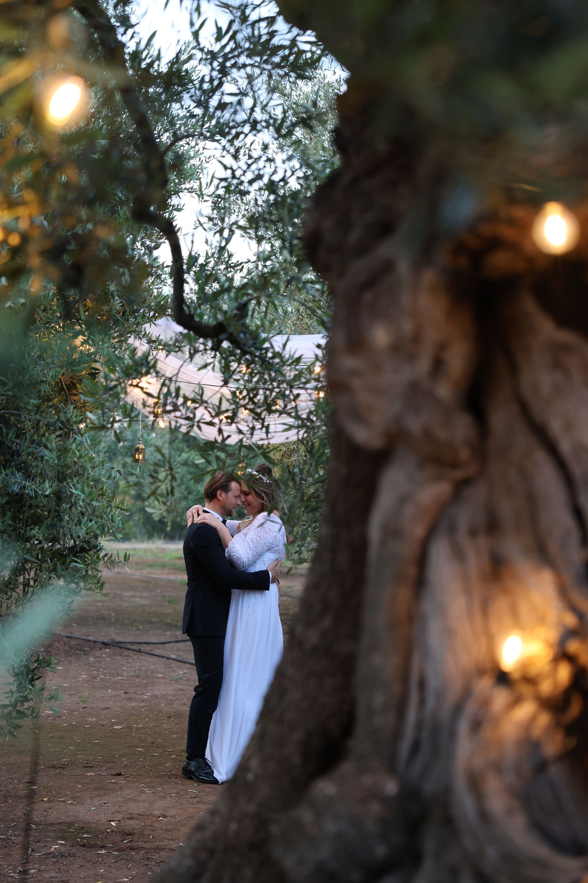 Coppia tra gli ulivi davanti a un tavolo imperiale con atmosfera di luci 